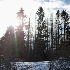 Lights [Ellie Goulding] Piano