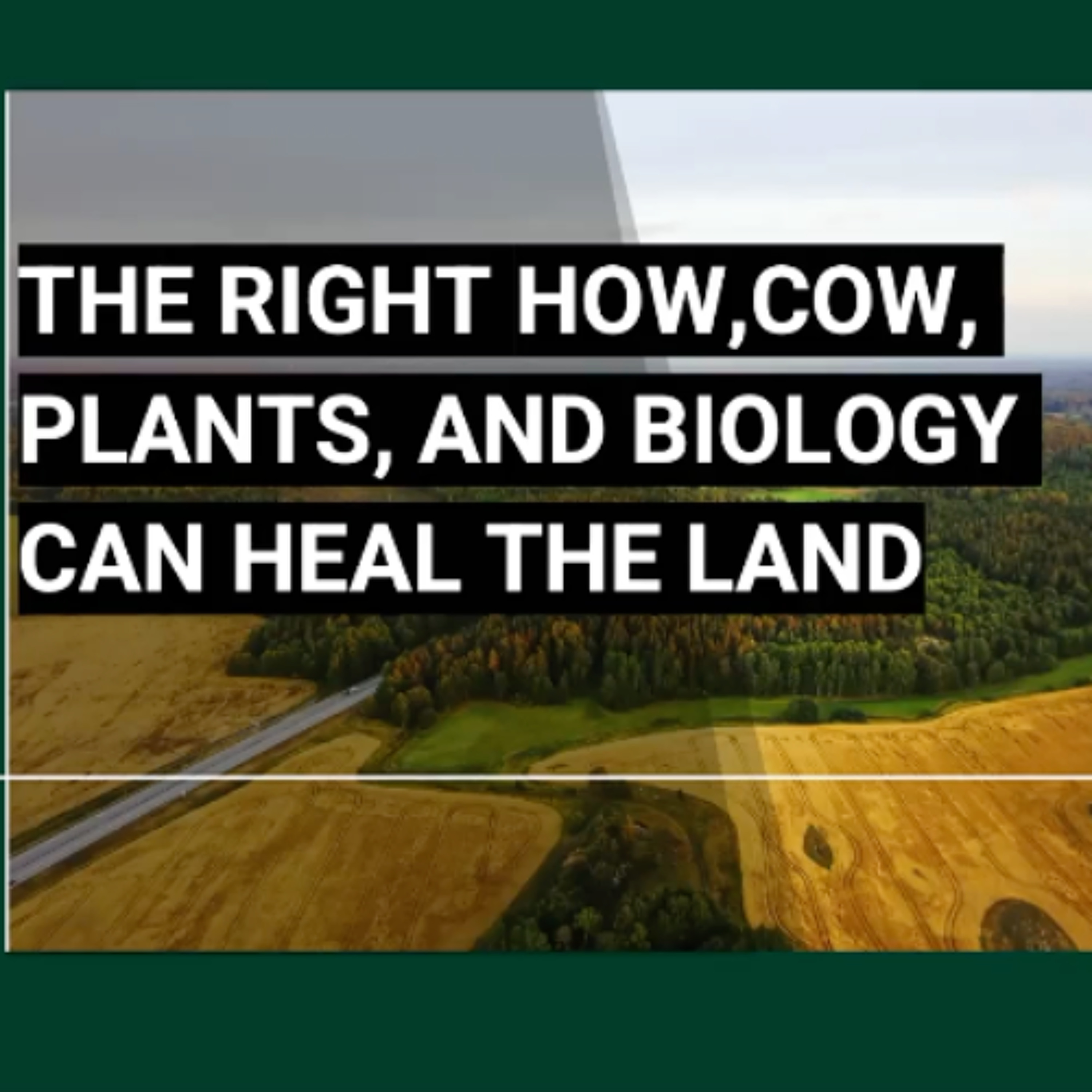 The Right How, Cow, Plants, and Biology Can Heal the Land with Ray Archuleta | R-SOIL 2024