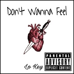 Don't Wanna Feel