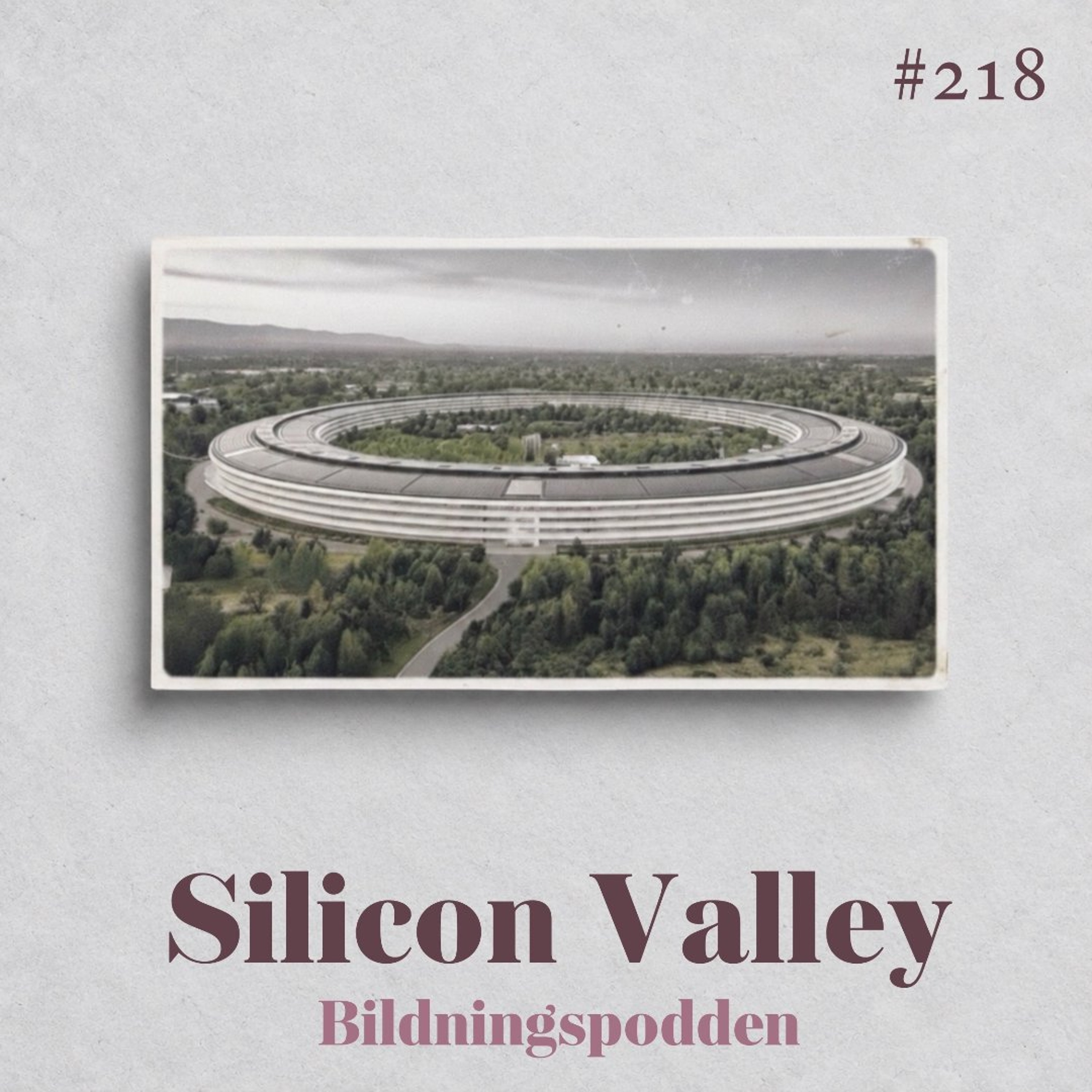 #218 Silicon Valley episode artwork