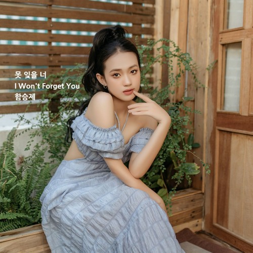 못 잊을 너(I Won't Forget You)