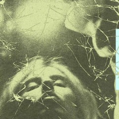 [EP, Genome 6.66 MBP] e6c41 - Uplifting Chaos