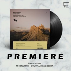 PREMIERE: Rauschhaus - Mindworm (Digital Mess Remix) [MANGO ALLEY]