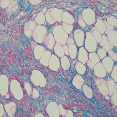 Elxis - Amorphous Materials (Original Mix) (Preview)