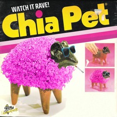 I Know Karate Chia Pet (Original Mx)