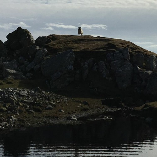 Compassion In The Farthest Reaches