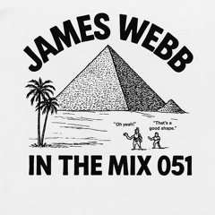 IN THE MIX 051