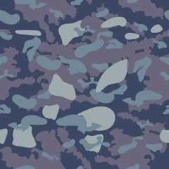 CAM-0 P-R!NT (EXPERIMENT-2)