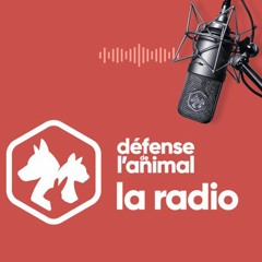 Défense De L'animal - La Radio (émission 01)