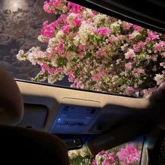 🌺