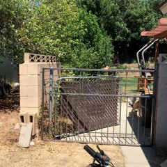 Korn Fed Intro (FT Paul Zimmer)