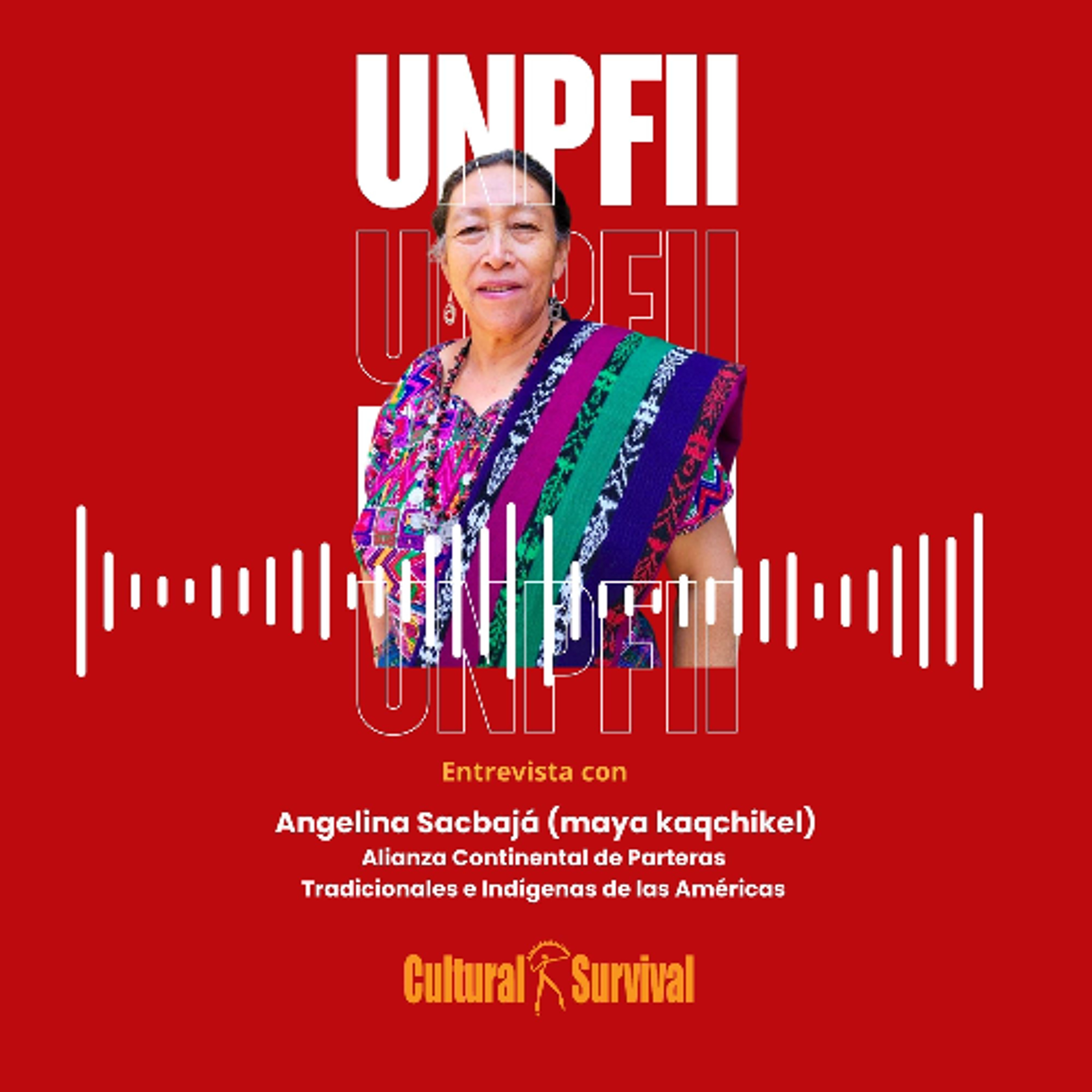 Angelina Sacbajá, salud y partería tradicional