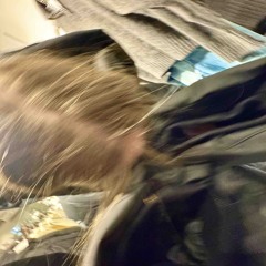 друзья (mylancore)