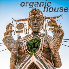 Organic house / my trip to  #tulum  2021