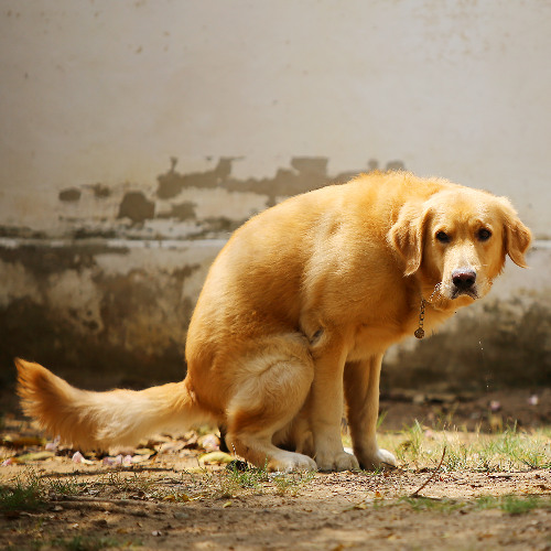 I'm Not from Around Here