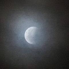 unidentified night noise
