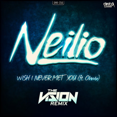 Wish I Never Met You (The Vision Remix) (Radio Edit) [feat. Ohwin]