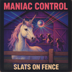 Slats On Fence (Nailed Version)