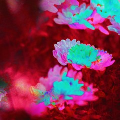 ordogi korok *:( ft. lidokami [prod. halal kalora!] #theCLiP!G0Đ