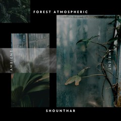 Forest - Atmospheric Ambient Soundscape - Track 01