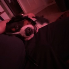 Jane’s Addiction - Irresistable Force but its only the godly prechorus