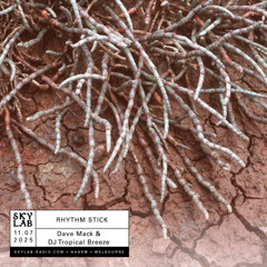 Skylab Radio - Rhythm Stick w/ Tropical Breeze - EP 16 - Down in the Dust