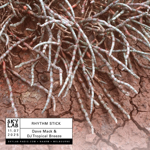 Skylab Radio - Rhythm Stick w/ Tropical Breeze - EP 16 - Down in the Dust