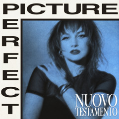 Picture Perfect