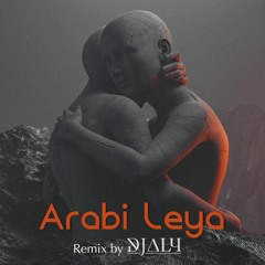 Arabi Leya - Samo Zaen - DJ Aly Hamad Remix