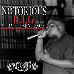 BIGGIE SCRATCH SENTENCE