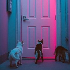 Moma Said Curiosity Killed The Cat