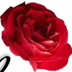 oh never mind (it's Lei)