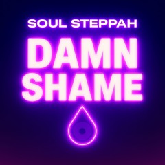 Soul Steppah - Damn Shame (Extended Mix)