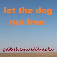 let the dog run free