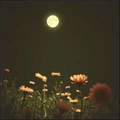 «Нічна пісня для тебе» — романтична українська поп-балада 2025 _ Ukrainian Roman