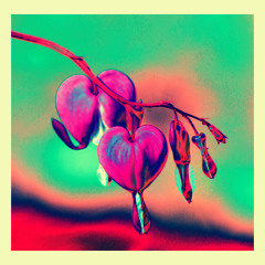 Calm (For Emma) 2025