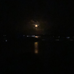 Neon Moon cover by Bowizzy