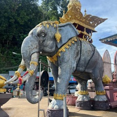 anime language institution.wav