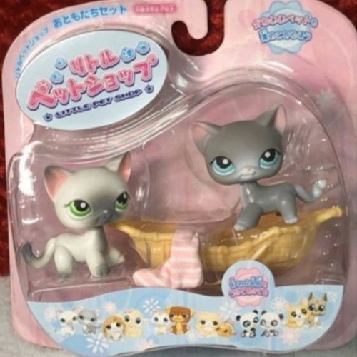 Poorly Wrote Suicide Note - The Reason You Never See The Skeleton Of An Elephant Just Laying Around