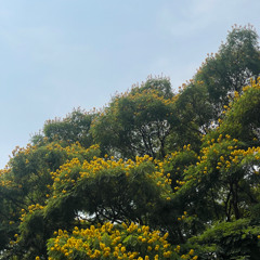 "Spring! World! Action!"