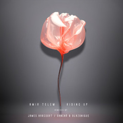 ILLR028: Amir Telem - Rising Up (Original Mix)
