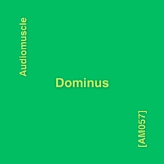 Dominus (Original Mix) [AM057]