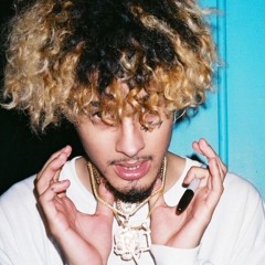 wifisfuneral - wolfin