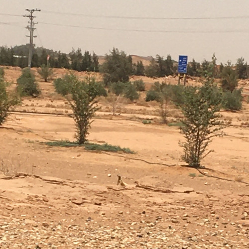 ‏ما على المحسنين من سبيل .