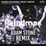 Sander Van Doorn X Selva X Macon - Raindrops (feat. Chacel) - (Adam Stone Remix)