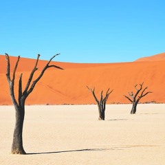 Malinké Percussions