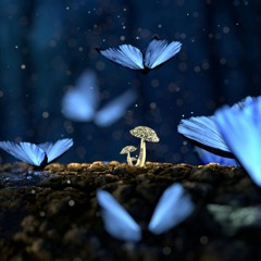 Stellar Tides (demo)