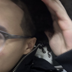 no (bloomcrzy)
