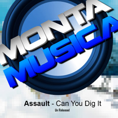 Assault - Can You Dig It