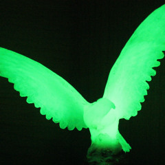 Black Light Homily